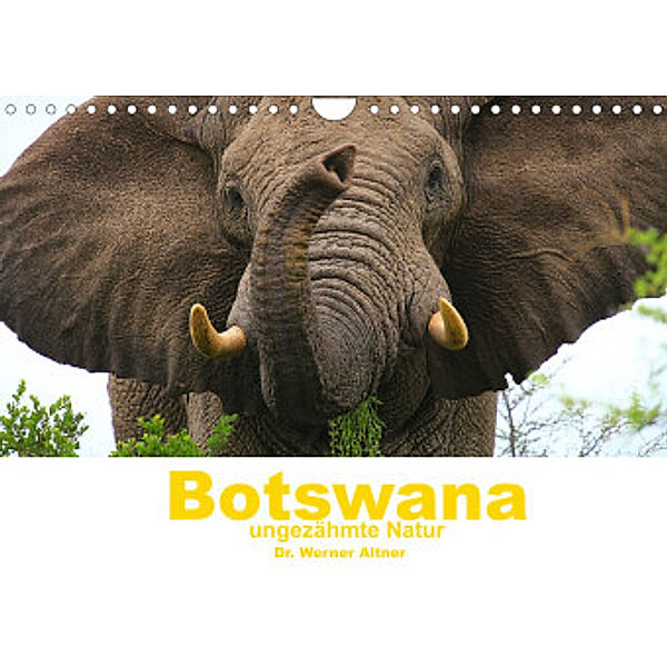 Botswana - ungezähmte Natur (Wandkalender 2022 DIN A4 quer), Dr. Werner Altner