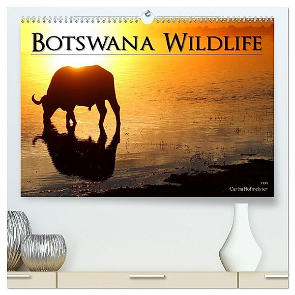 Botswana Wildlife (hochwertiger Premium Wandkalender 2024 DIN A2 quer), Kunstdruck in Hochglanz, Carina Hofmeister