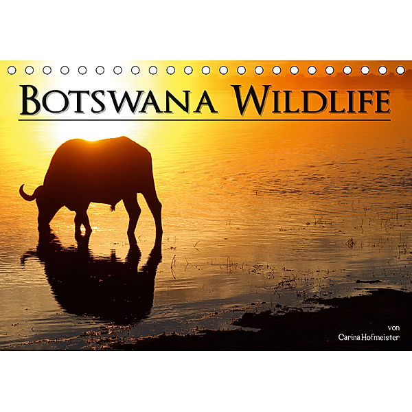 Botswana Wildlife (Tischkalender 2019 DIN A5 quer), Carina Hofmeister