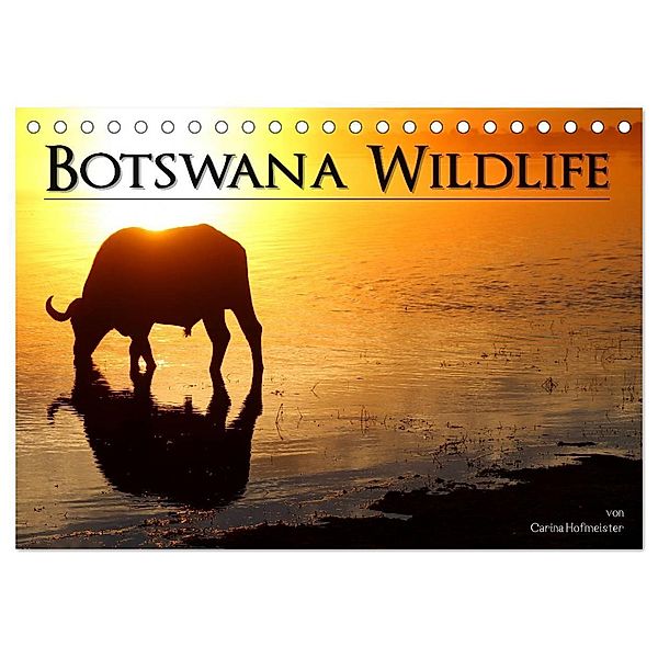 Botswana Wildlife (Tischkalender 2024 DIN A5 quer), CALVENDO Monatskalender, Carina Hofmeister