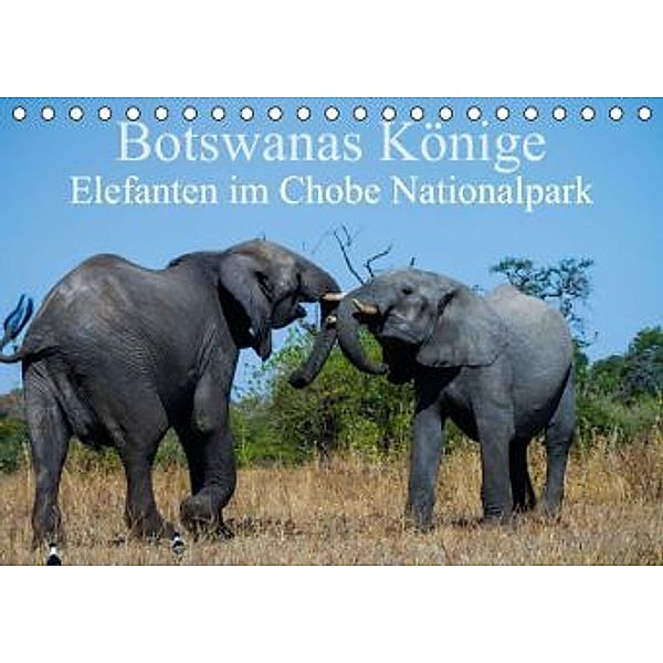 Botswanas Könige - Elefanten im Chobe Nationalpark (Tischkalender 2015 DIN A5 quer), Markus Pavlowsky