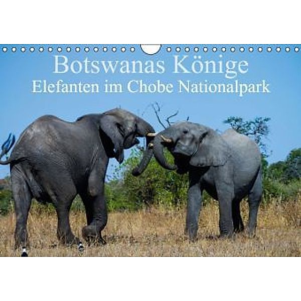 Botswanas Könige - Elefanten im Chobe Nationalpark (Wandkalender 2015 DIN A4 quer), Markus Pavlowsky