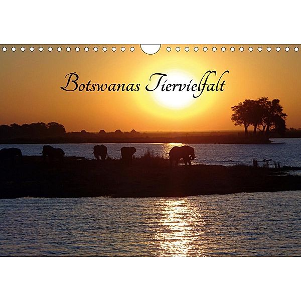 Botswanas Tiervielfalt (Wandkalender 2021 DIN A4 quer), Ramona Benahmed