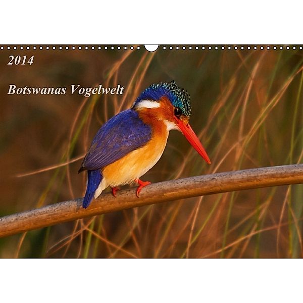 Botswanas Vogelwelt (Wandkalender 2014 DIN A3 quer), Michael Voß