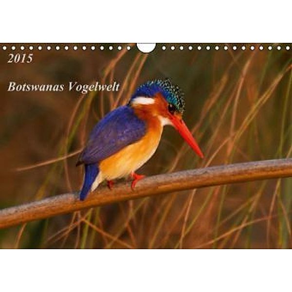 Botswanas Vogelwelt (Wandkalender 2015 DIN A4 quer), Michael Voß