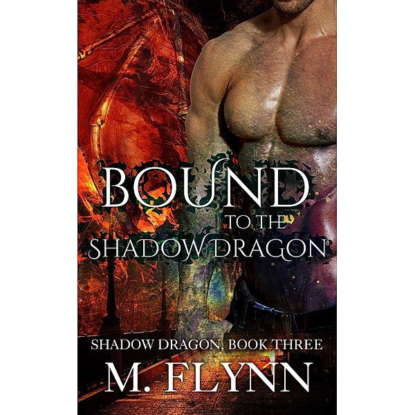 Bound to the Shadow Dragon: Shadow Dragon Book 3 (Dragon Shifter Romance) / Shadow Dragon, Mac Flynn