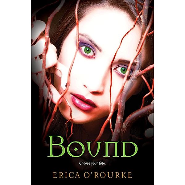 Bound / Torn Bd.3, Erica O'Rourke