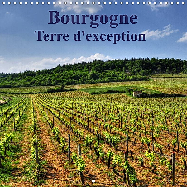 Bourgogne Terre d'exception (Calendrier mural 2023 300 × 300 mm Square), Didier Sibourg