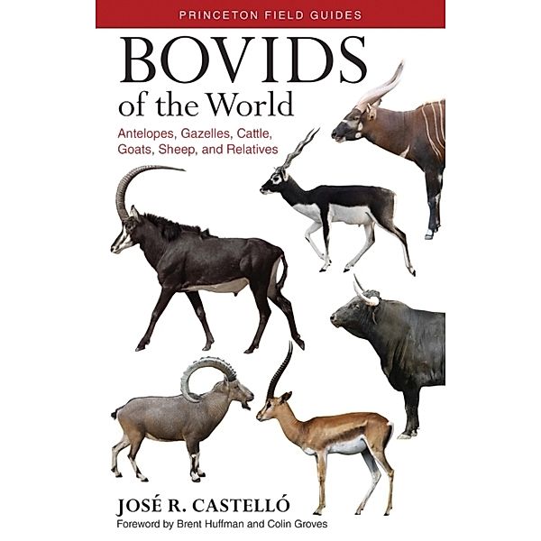 Bovids of the World, José R. Castelló, Brent Huffman, Colin Groves