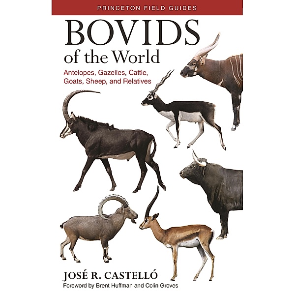 Bovids of the World / Princeton Field Guides, Jose R. Castello