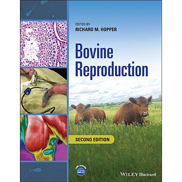 Bovine Reproduction