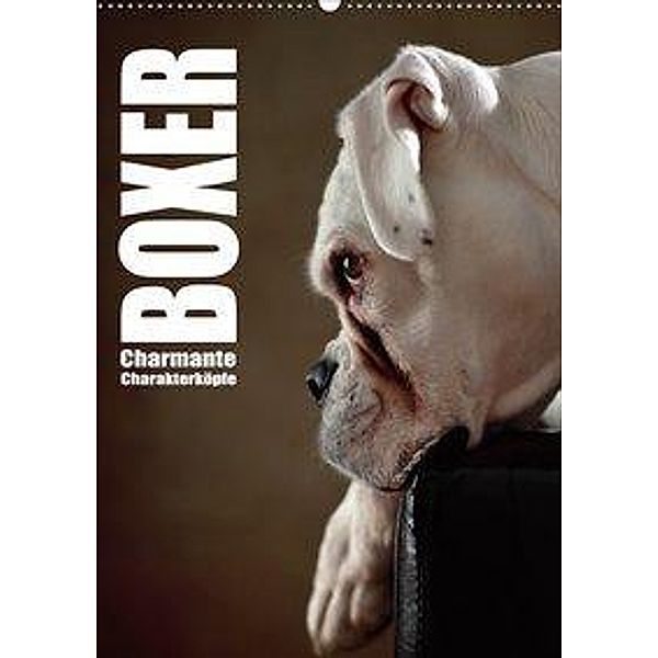 Boxer - Charmante Charakterköpfe (Wandkalender 2020 DIN A2 hoch), Jana Behr