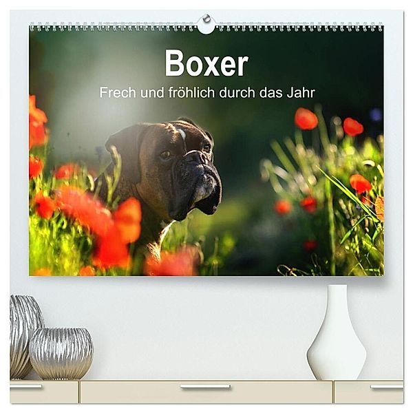 Boxer Frech und fröhlich durch das Jahr (hochwertiger Premium Wandkalender 2025 DIN A2 quer), Kunstdruck in Hochglanz, Calvendo, Yvonne Janetzek