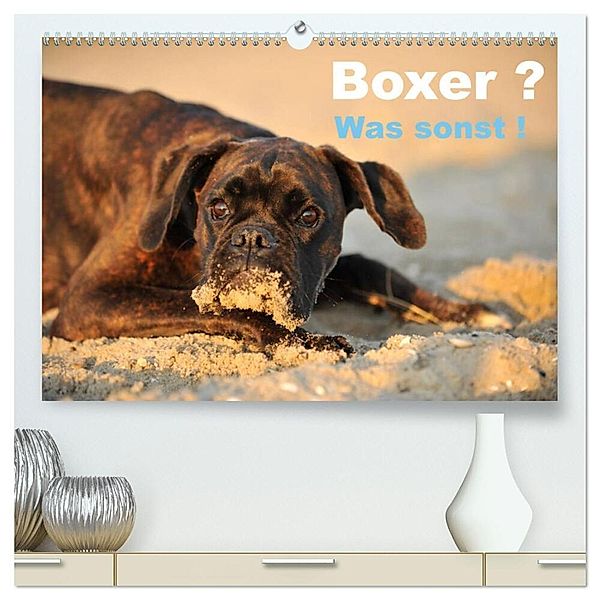 Boxer ? Was sonst ! (hochwertiger Premium Wandkalender 2024 DIN A2 quer), Kunstdruck in Hochglanz, Yvonne Janetzek