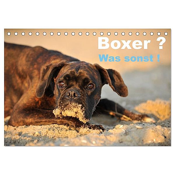 Boxer ? Was sonst ! (Tischkalender 2024 DIN A5 quer), CALVENDO Monatskalender, Yvonne Janetzek