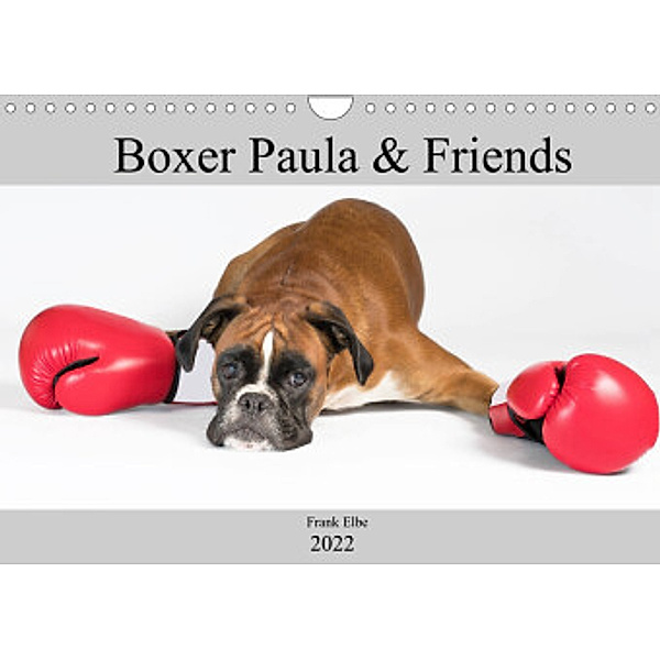 Boxerhündin Paula and Friends (Wandkalender 2022 DIN A4 quer), Frank Elbe