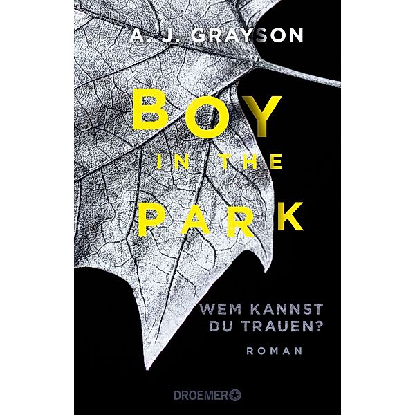 Boy in the park, A. J. Grayson