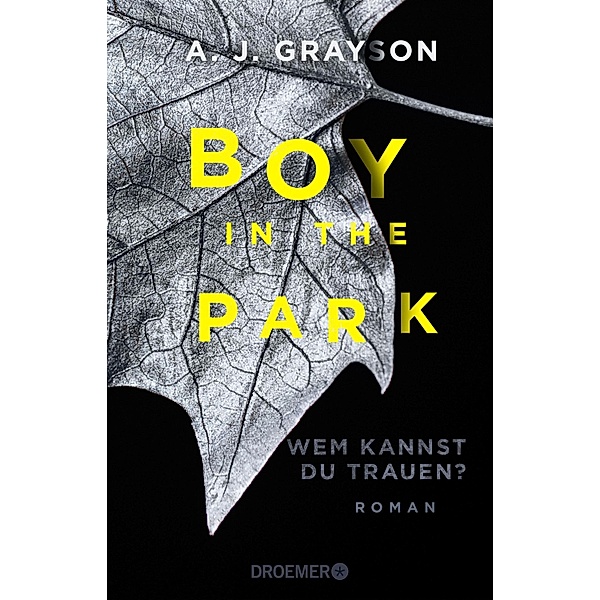 Boy in the Park - Wem kannst du trauen?, A. J. Grayson