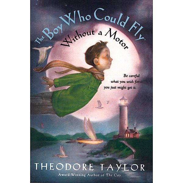 Boy Who Could Fly Without a Motor / Clarion Books, Theodore Taylor