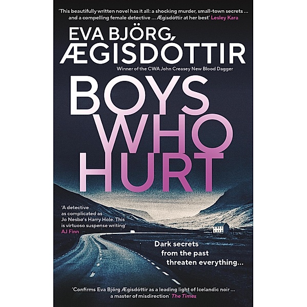 Boys Who Hurt / Forbidden Iceland Bd.5, Eva Björg Ægisdóttir