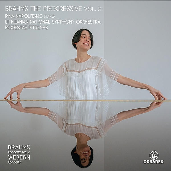 Brahms The Progressive Vol.2, Pina Napolitano