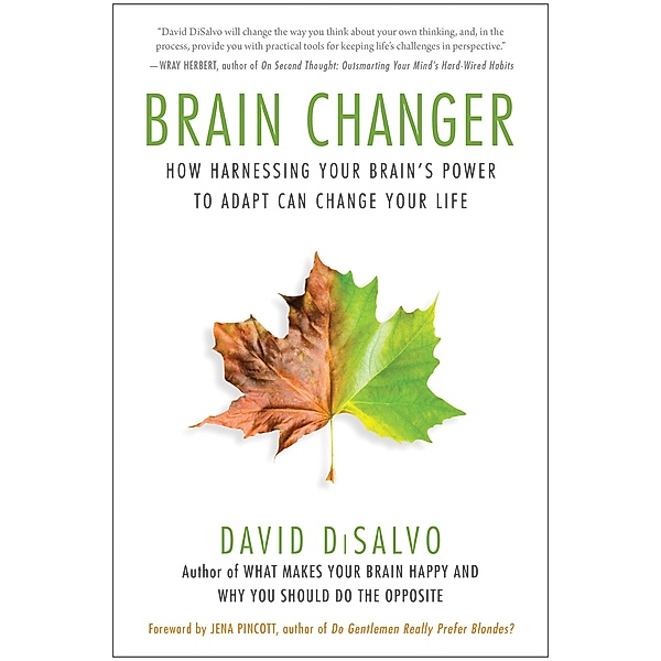 Brain Changer, David DiSalvo
