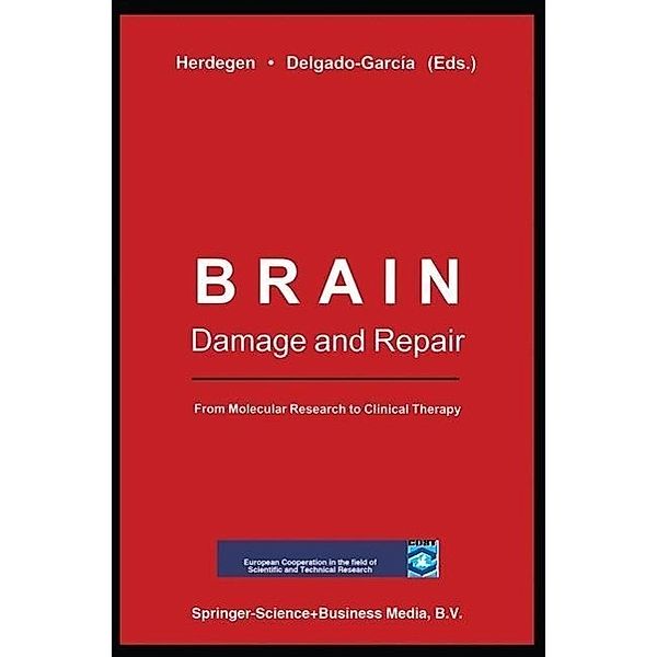 Brain Damage and Repair