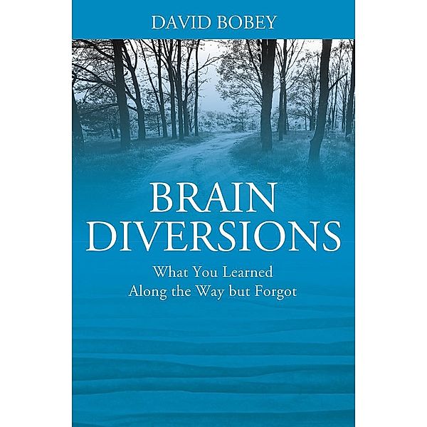 Brain Diversions, David Bobey