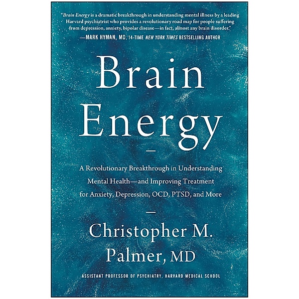 Brain Energy, Christopher M. Palmer