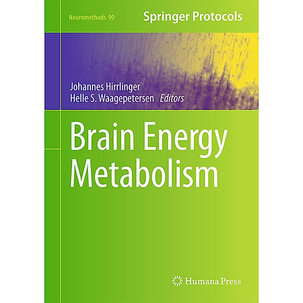 Brain Energy Metabolism