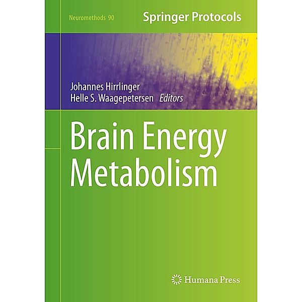 Brain Energy Metabolism / Neuromethods Bd.90