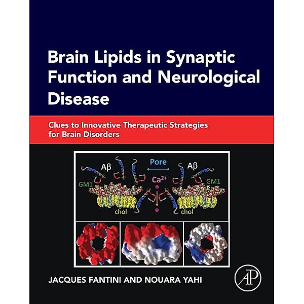 Brain Lipids in Synaptic Function and Neurological Disease, Jacques Fantini, Nouara Yahi