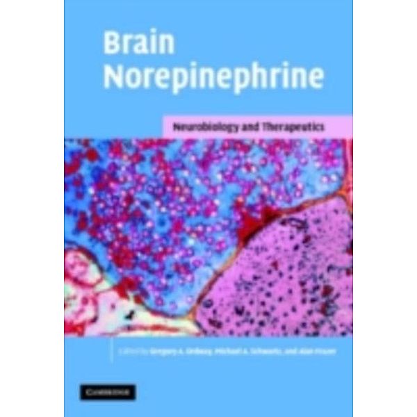 Brain Norepinephrine