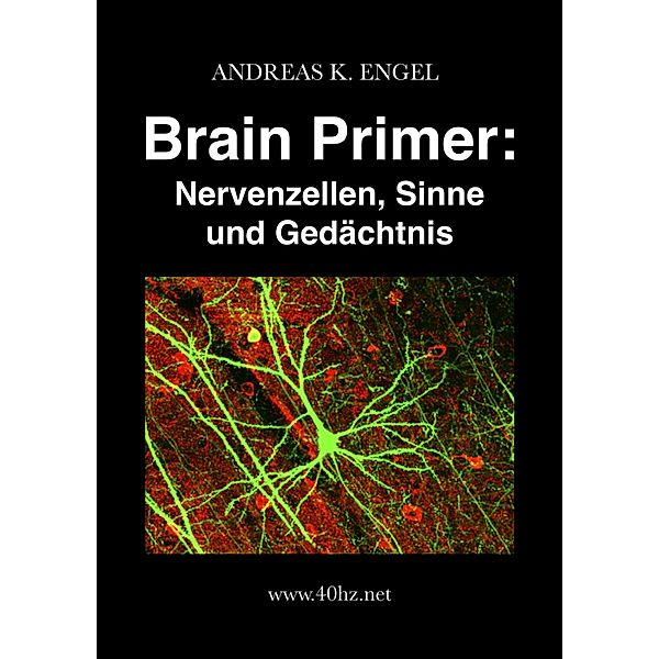 Brain Primer: Nervenzellen, Sinne und Gedächtnis / Andreas K. Engel (Eigenverlag), Andreas K. Engel