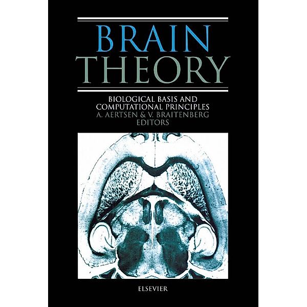 Brain Theory