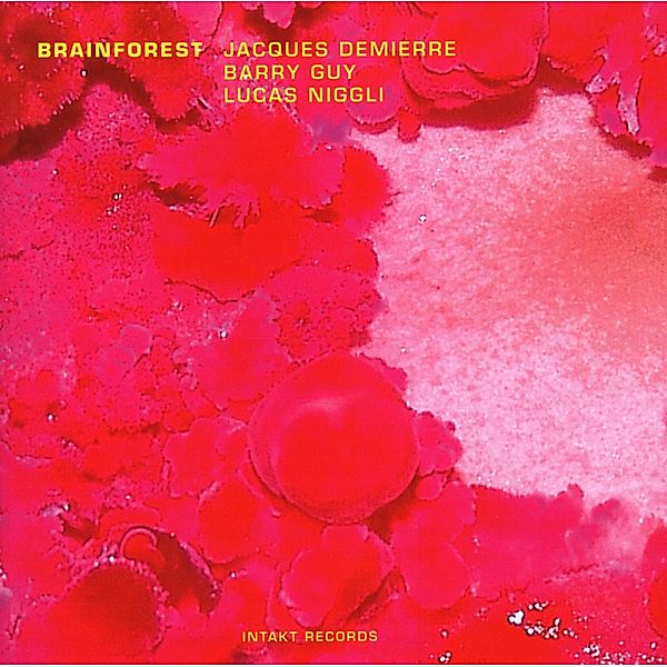 Brainforest, Jacques Demierre, Barry Guy, Lucas Niggli