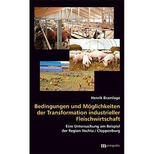 Bramlage, H: Bedingungen und Möglichkeiten der Transformatio, Henrik Bramlage
