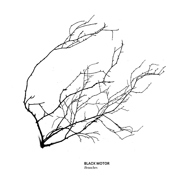 Branches, Black Motor