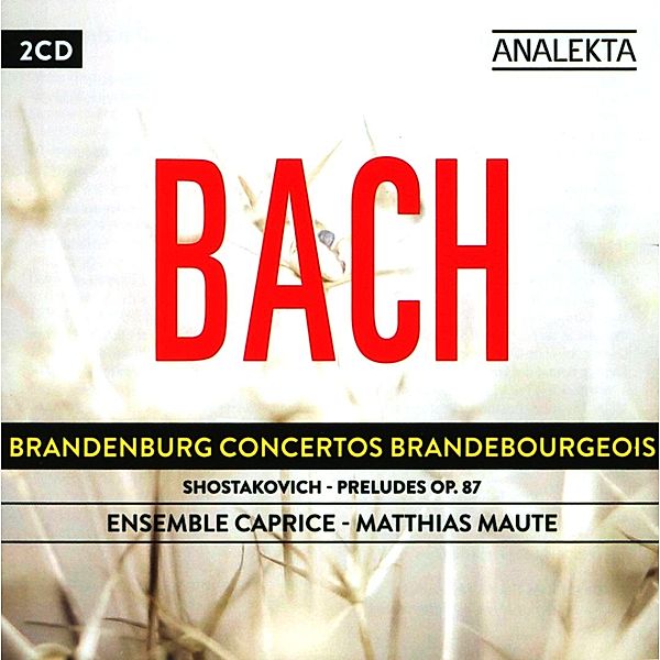 Brandenburgische Konzerte, Matthias Maute, Ensemble Caprice