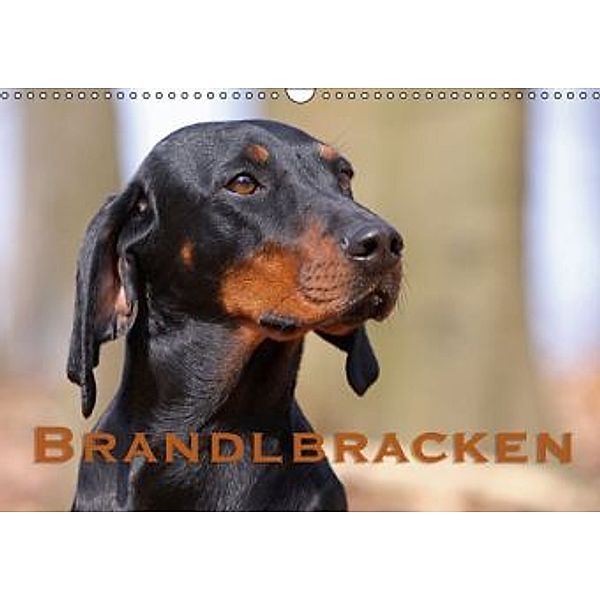 Brandlbracken / AT-Version (Wandkalender 2015 DIN A3 quer), Martina Berg