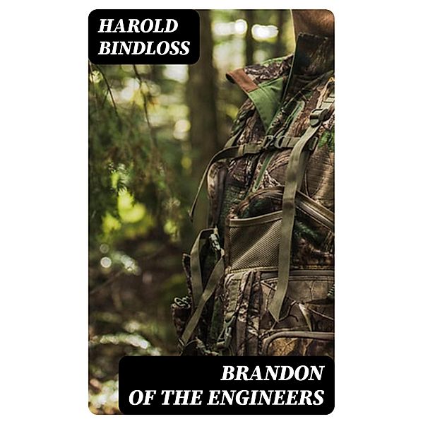 Brandon of the Engineers, Harold Bindloss