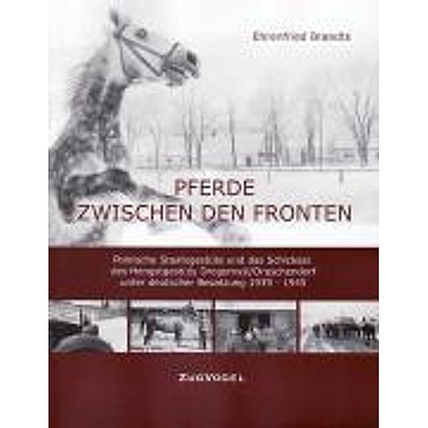 Brandts, E: Pferde zwischen den Fronten, Ehrenfried Brandts