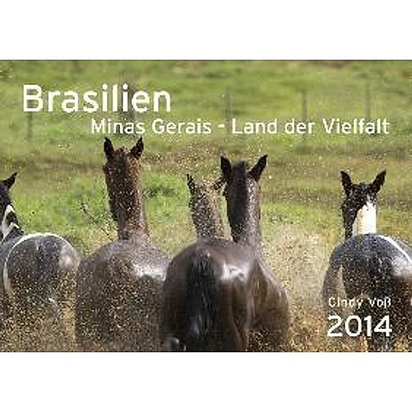 Brasilien 2014