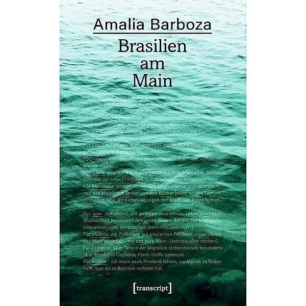 Brasilien am Main / Postcolonial Studies Bd.35, Amalia Barboza