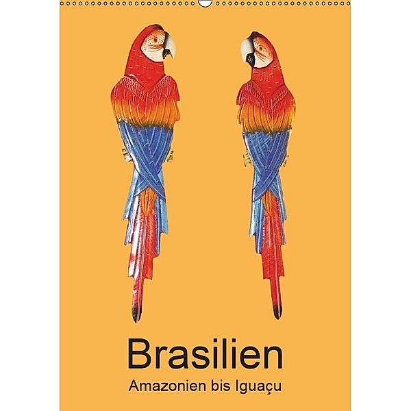 Brasilien - Amazonien bis Iguaçu (Wandkalender 2019 DIN A2 hoch), Rudolf Blank