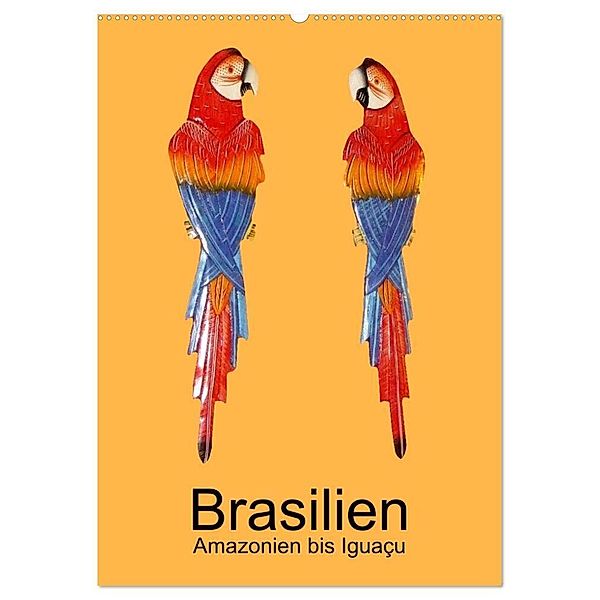 Brasilien - Amazonien bis Iguaçu (Wandkalender 2024 DIN A2 hoch), CALVENDO Monatskalender, Dr. Rudolf Blank