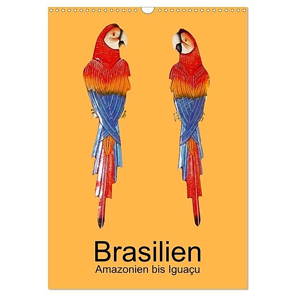 Brasilien - Amazonien bis Iguaçu (Wandkalender 2024 DIN A3 hoch), CALVENDO Monatskalender, Dr. Rudolf Blank