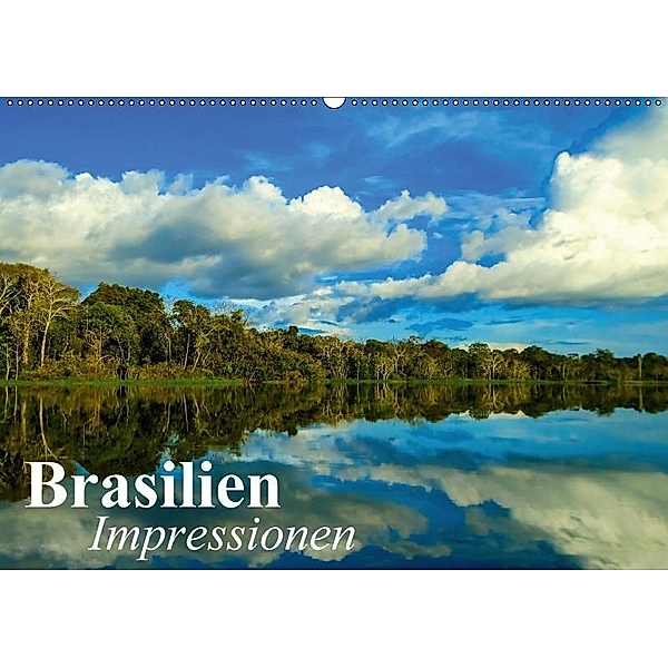 Brasilien. Impressionen (Wandkalender 2017 DIN A2 quer), Elisabeth Stanzer