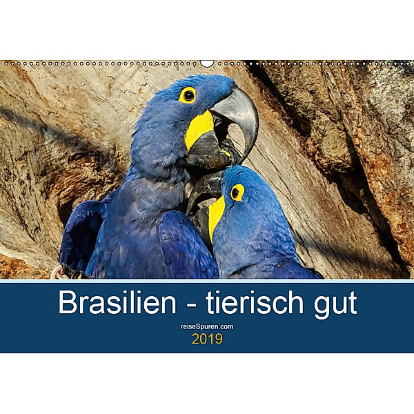 Brasilien tierisch gut 2019 (Wandkalender 2019 DIN A2 quer), Uwe Bergwitz