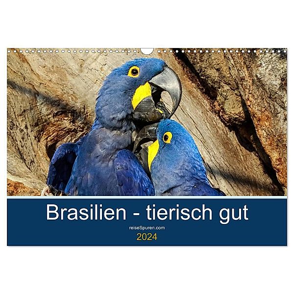 Brasilien tierisch gut 2024 (Wandkalender 2024 DIN A3 quer), CALVENDO Monatskalender, Uwe Bergwitz